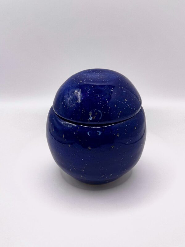 Cosmos Lidded Jar